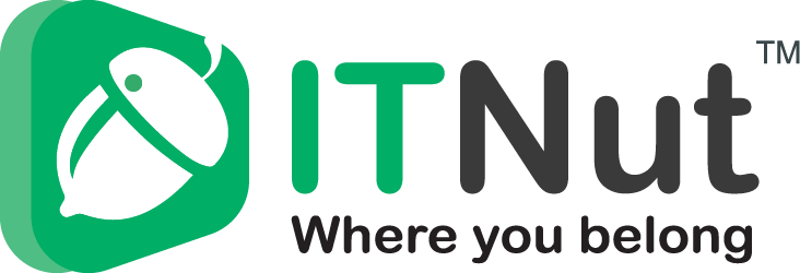 IT Nut Hosting Logo